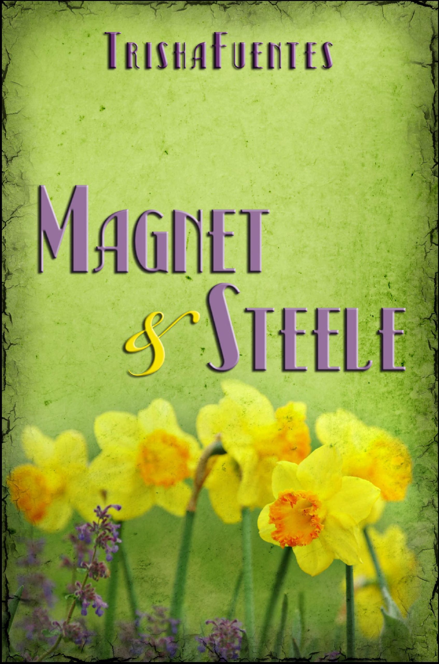 <span itemprop="name">Magnet & Steele</span>