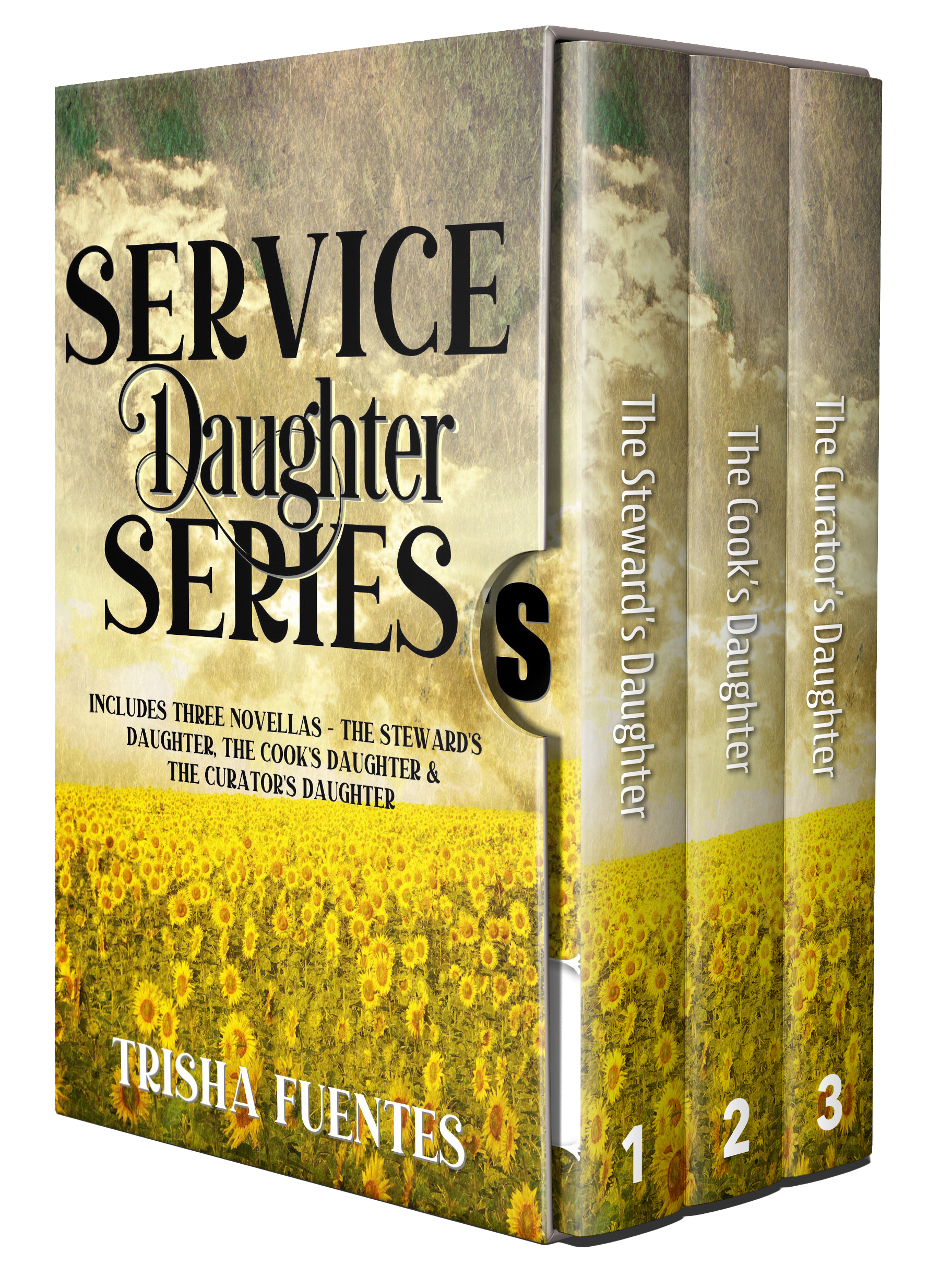 The Service Daughter Series